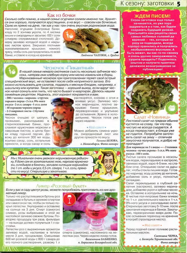 КулЛиб.   журнал Сваты на кухне - Сваты на кухне 2016 №5(19). Страница № 5