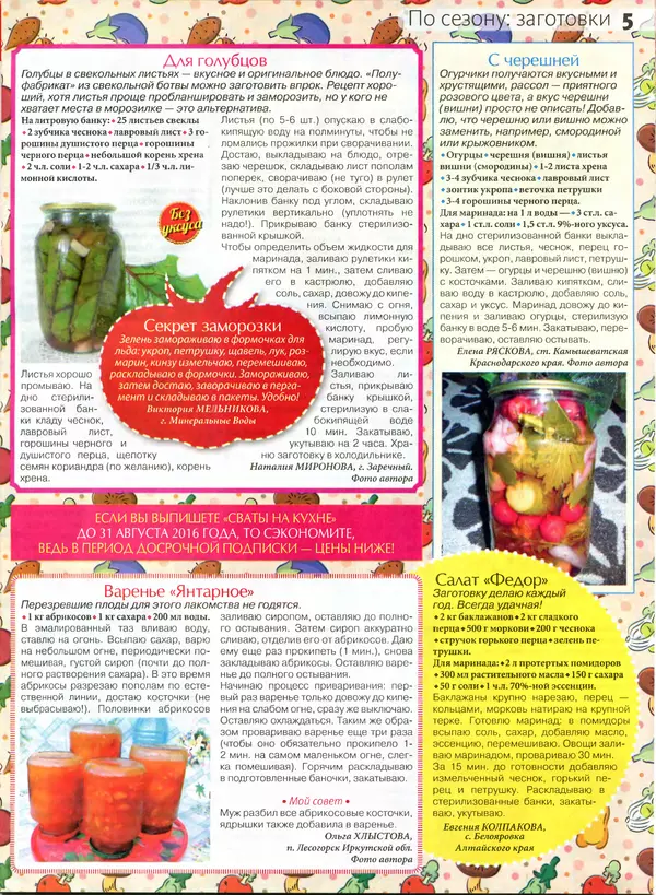 КулЛиб.   журнал Сваты на кухне - Сваты на кухне 2016 №7(21). Страница № 5