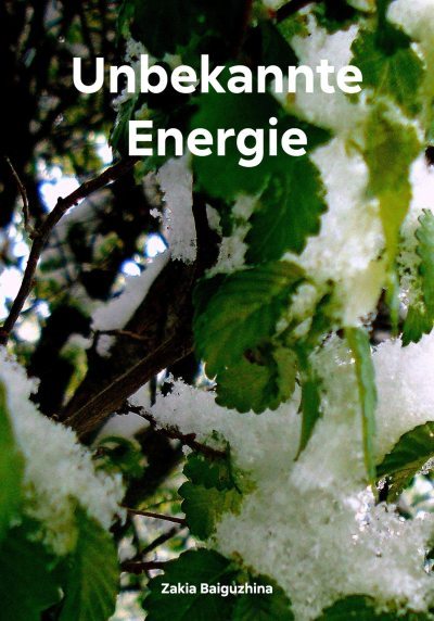 Unbekannte Energie (fb2)
