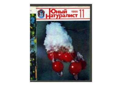 Юный натуралист 1986 №11 (pdf)