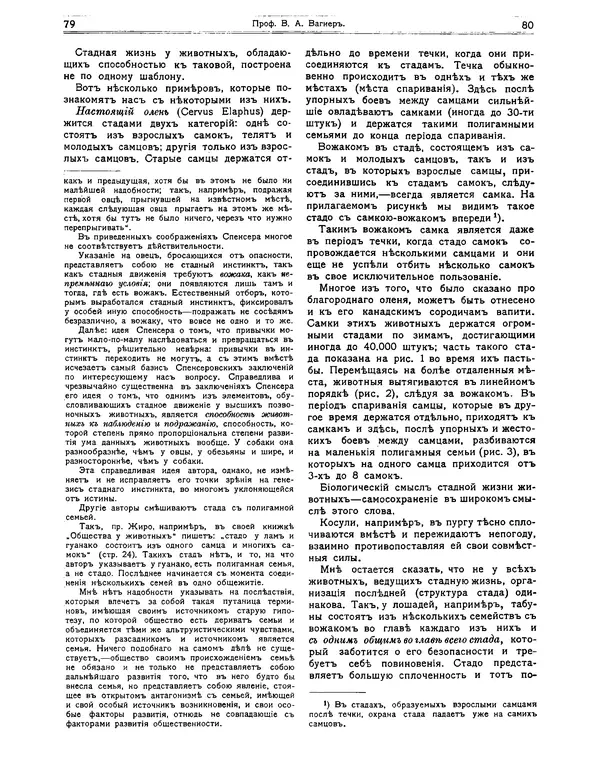 КулЛиб.   журнал Природа - Природа 1912 №01. Страница № 42