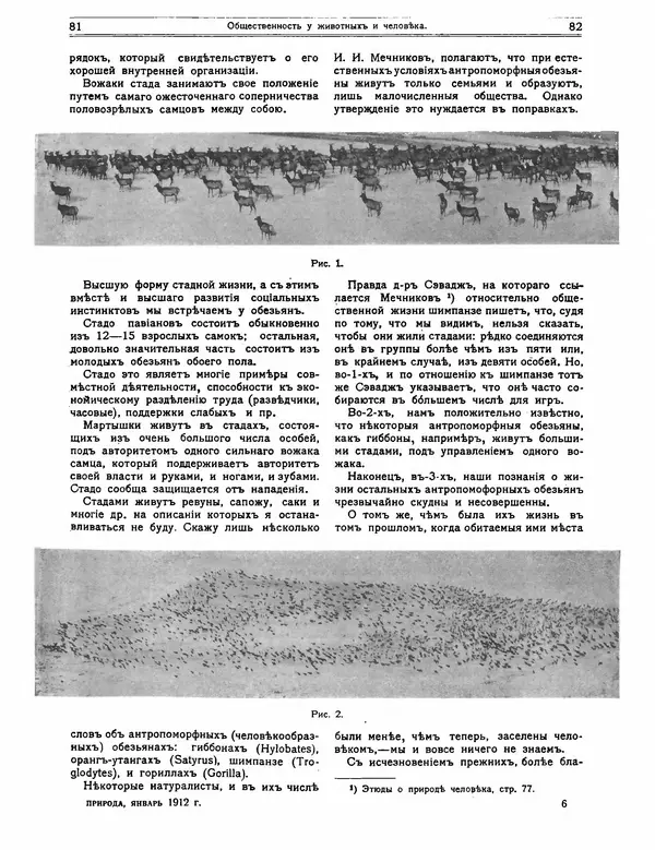 КулЛиб.   журнал Природа - Природа 1912 №01. Страница № 43