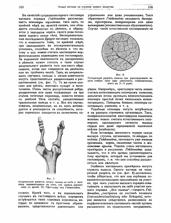КулЛиб.   журнал Природа - Природа 1912 №01. Страница № 55