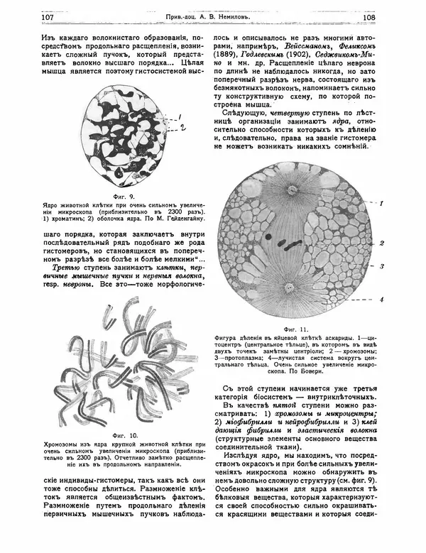 КулЛиб.   журнал Природа - Природа 1912 №01. Страница № 56