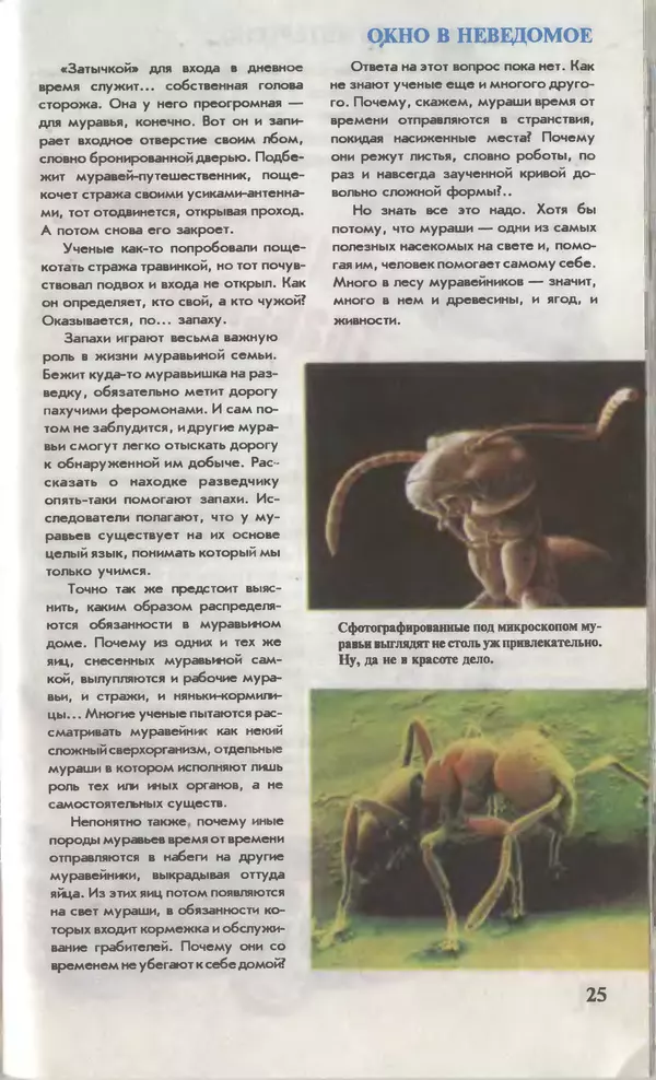 КулЛиб.   Журнал «Юный техник» - Юный техник, 1996 №02. Страница № 27