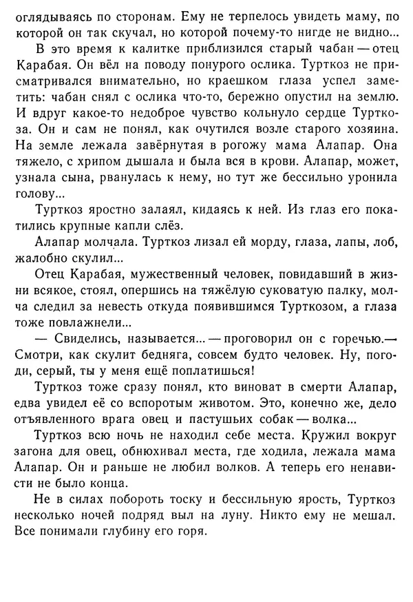 КулЛиб. Суннатулла  Анарбаев - Приключения Турткоза. Страница № 38