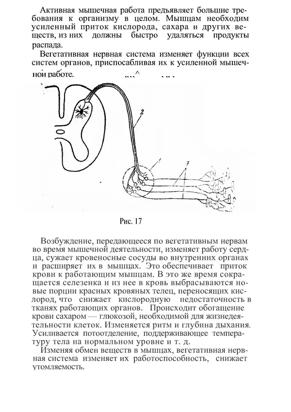 КулЛиб. М. С. Миловзорова - Анатомия и физиология человека. Страница № 44