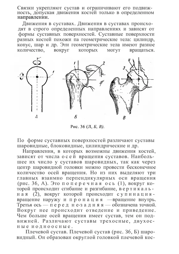 КулЛиб. М. С. Миловзорова - Анатомия и физиология человека. Страница № 95