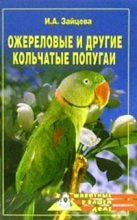 Книга - Ирина Александровна Зайцева - Ожереловые и другие кольчатые попугаи - читать