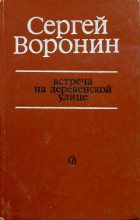 Книга - Сергей Алексеевич Воронин - Встреча на деревенской улице - читать