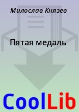 Книга - Милослав  Князев - Пятая медаль - читать