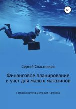 Книга - Сергей  Сластников - Финансовый учет и планирование для магазина. Готовая система учета для магазина - читать