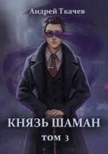 Книга - Андрей Сергеевич Ткачев - Князь шаман. Том 3 (СИ) - читать