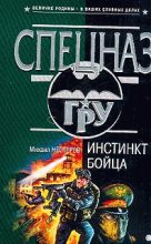 Книга - Михаил Петрович Нестеров - Инстинкт бойца - читать
