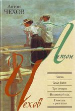 Книга - Антон Павлович Чехов - Чайка - читать