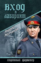 Книга - Андрей Алексеевич Молчанов - Вход в лабиринт - читать