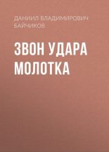 Книга - Даниил Владимирович Байчиков - Звон удара молотка - читать