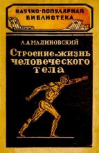 Книга - Александр Александрович Малиновский - Строение и жизнь человеческого тела - читать