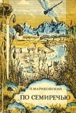Книга - Павел Иустинович Мариковский - По Семиречью - читать