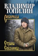 Книга - Владимир Степанович Топилин - Страна Соболинка - читать