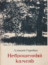 Книга - Алексей Борисович Горобец - Неброшенный камень - читать