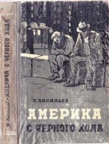Книга - Николай Васильевич Васильев - Америка с чёрного хода - читать