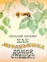 Книга - Виталий Валентинович Бианки - Как муравьишка домой спешил - читать