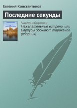 Книга - Евгений Михайлович Константинов - Последние секунды - читать