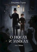Книга - Владимир  Торин - О носах и замка́х - читать