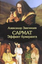 Книга - Александр Григорьевич Звягинцев - Эффект бумеранга - читать