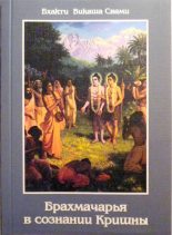 Книга - Бхакти Викаша Свами - Брахмачарья в Сознании Кришны - читать