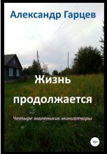 Книга - Александр  Гарцев - Жизнь продолжается - читать