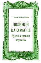 Книга - Олег Васильевич Слободчиков - Двойной карамболь - читать