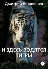 Книга - Дмитрий  Боровичев - И здесь водятся тигры - читать