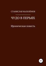 Книга - Станислав  Малозёмов - Чудо в перьях - читать