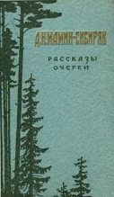 Книга - Дмитрий Наркисович Мамин-Сибиряк - Бурный поток  - читать