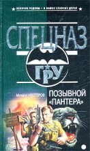 Книга - Михаил Петрович Нестеров - Позывной «Пантера» - читать
