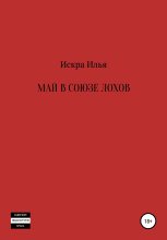 Книга - Илья  Искра - Май в Союзе Лохов - читать