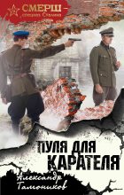 Книга - Александр Александрович Тамоников - Пуля для карателя - читать