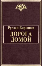 Книга - Руслан Рустамович Бирюшев - Дорога домой - читать