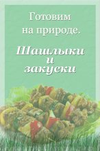 Книга - Илья  Мельников - Шашлыки и закуски - читать