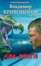 Книга - Владимир  Кривоногов - Два врага - читать
