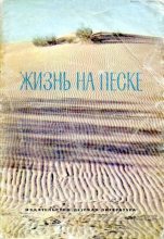 Книга - Николай Иванович Сладков - Жизнь на песке. Фотокнижка - читать