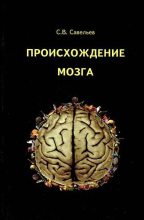 Книга - Сергей Вячеславович Савельев - Происхождение мозга - читать
