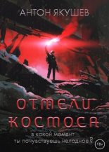 Книга - Антон  Якушев - Отмели космоса - читать