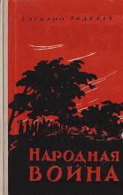 Книга - Василий Михайлович Андреев - Народная война - читать