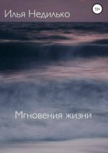 Книга - Илья  Недилько - Мгновения жизни - читать