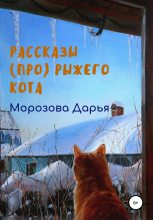 Книга - Дарья Вячеславовна Морозова - Рассказы (про) рыжего кота - читать