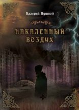 Книга - Валерий Александрович Пушной - Накаленный воздух - читать