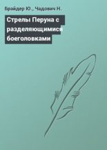 Книга - Юрий Михайлович Брайдер - Стрелы Перуна с разделяющимися боеголовками - читать